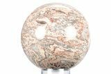 Polished Squirrel Tail Stromatolite Sphere - Mexico #360430-1